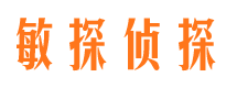 和政市调查公司